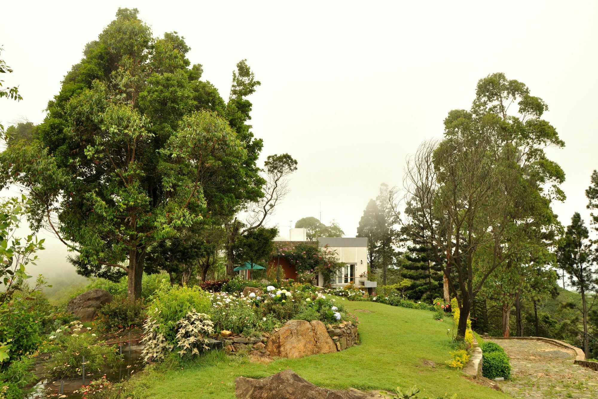 Clouds Holiday Bungalow Haputale Extérieur photo